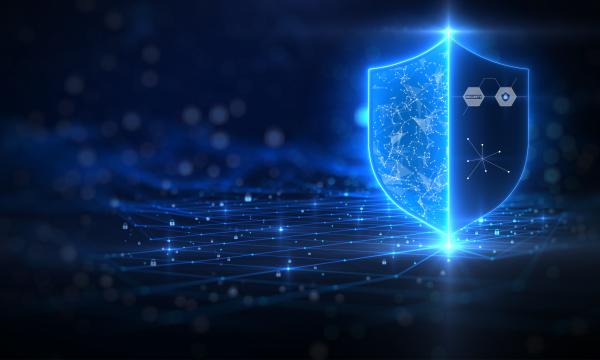 Vulnerability Management Services Vulnerability Management Services